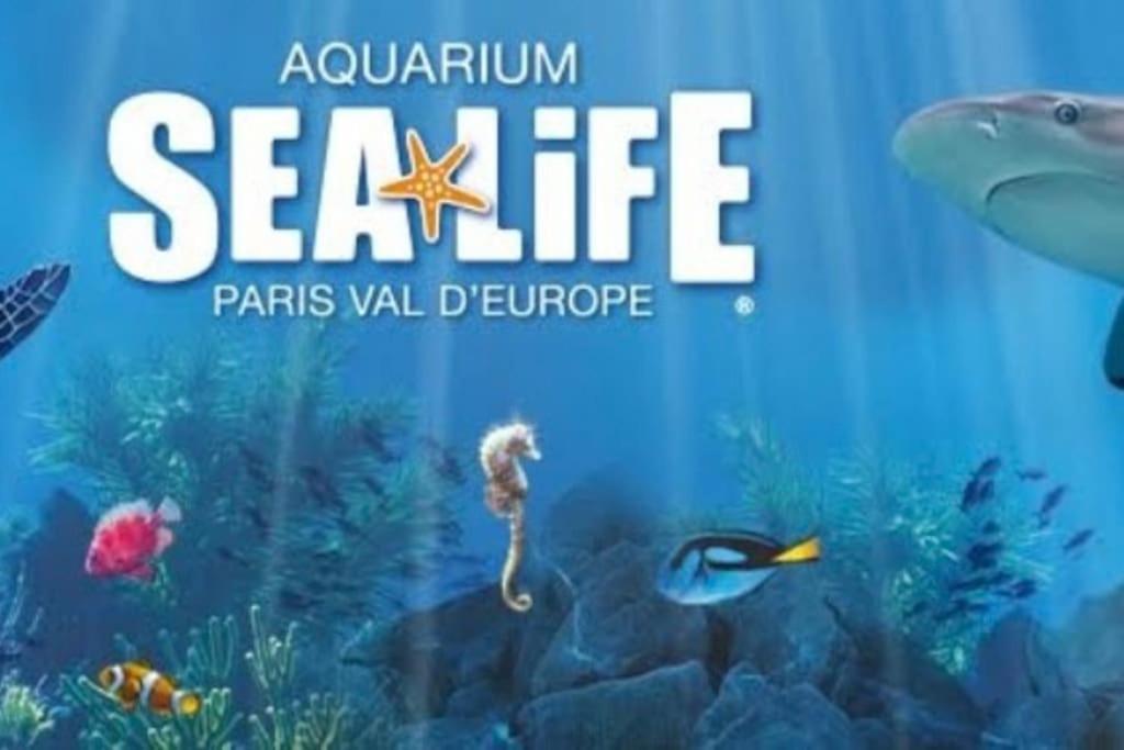 Appart Cosy F2 Disneyland/Val D'Europe مونتِفرا المظهر الخارجي الصورة